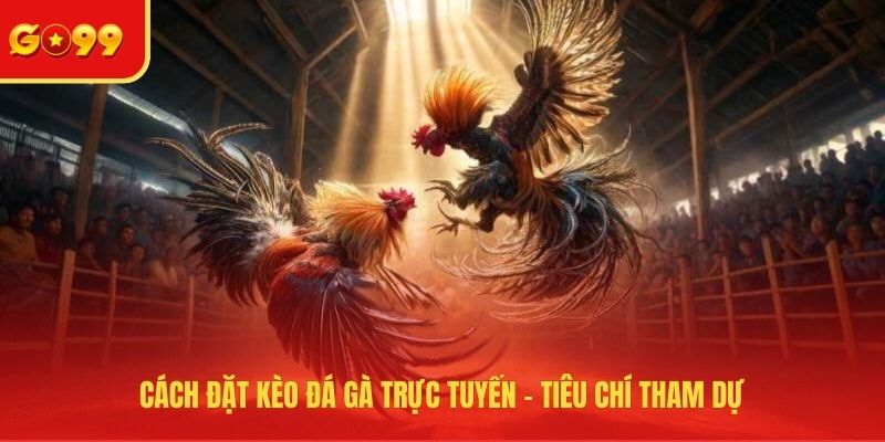 Cách đặt kèo đá gà trực tuyến - Tiêu chí tham dự